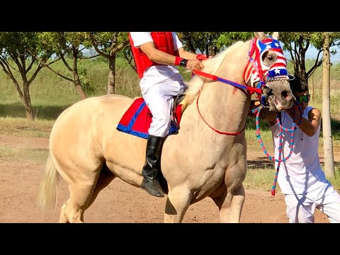 Carreras De Caballos | Carril San Isidro | 10 de Septiembre del 2023