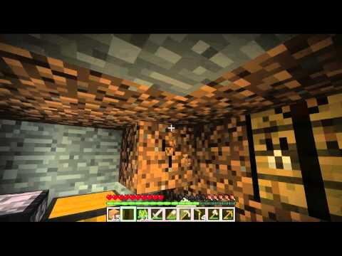 Fanserver Ultra Hardcore S2E1 - TeamPimpinRainbow