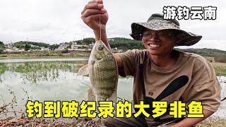 游钓云南接替通宵钓鱼的老哥，钓到破纪录的大罗非鱼，真的有口福了【真男人老黄】