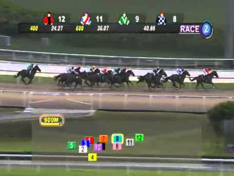 8d2bc7477cbb00d48f0c07662c64e26e