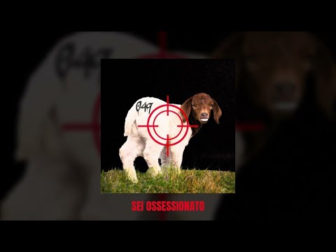 Intifaya - VITA REALE (official audio)