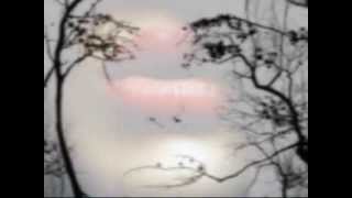 Passato Remoto - Cover by Chico Bliz