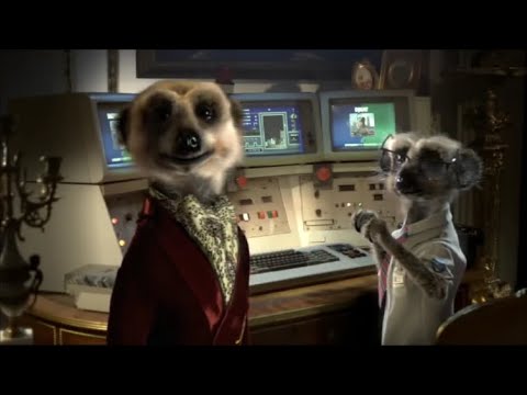 Compare The Meerkat Bloopers
