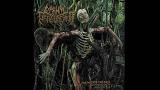 Carnal Disfigurement- Depth of Perverse Depravity