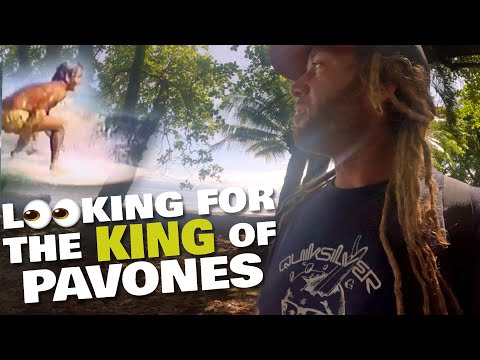 Birthday Surf Mission in Pavones | Looking for the King Pt.1
