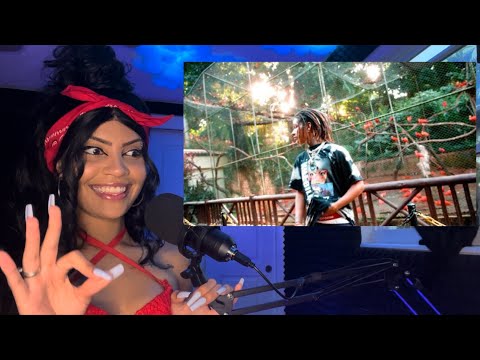 (GRINGA REACT) BRANDÃO85 - ELEFANTE #eua #react 🇺🇸