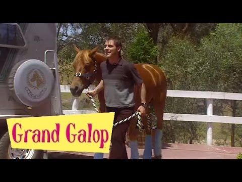 Grand Galop 222 - Les jeux sont faits (Partie 1) | HD | Épisode Complet