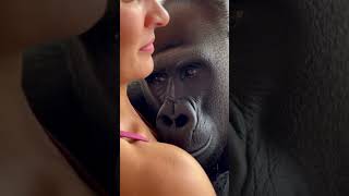 Download lagu Girl Hugs King Kong β You Wonβt Believe What Happens Next!β π±π₯#KingKong #UnbelievableMomen mp3 Download lagu Girl Hugs King Kong β You Wonβt Believe What Happens Next!β π±π₯#KingKong #UnbelievableMomen mp3