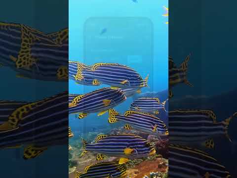 Deep Sea Explorer for Kids