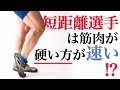 瞬発力系の運動にはストレッチは不要!?