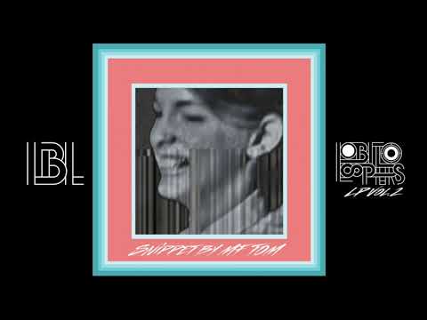LBL - Lo-Bit Loopers LP Vol.2 (Snippet by MF TOM)