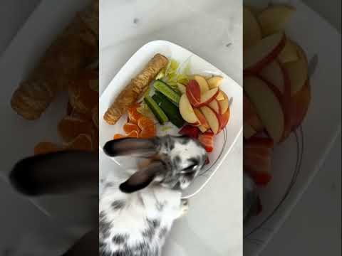 Thumbnail for #speedsong #phonk #slowedandreverb #music #phonkmusic #cat #lifeisbutadream #cruiseship