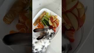 #speedsong #phonk #slowedandreverb #music #phonkmusic #cat #lifeisbutadream #cruiseship