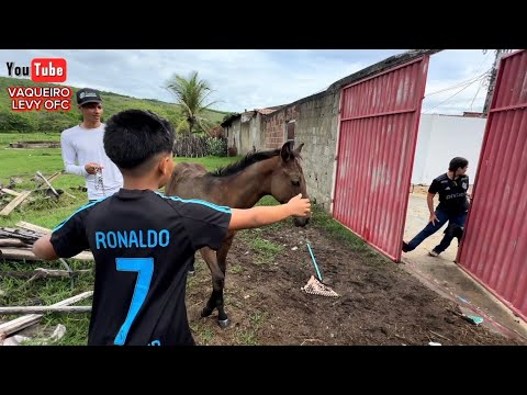 COWBOY LEVY IN GUARANI PARK