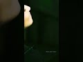 Dekha Hai Jabse Tumhe Shaamat Song WhatsApp Status Ek Villan Returns 2022 Fullscreen