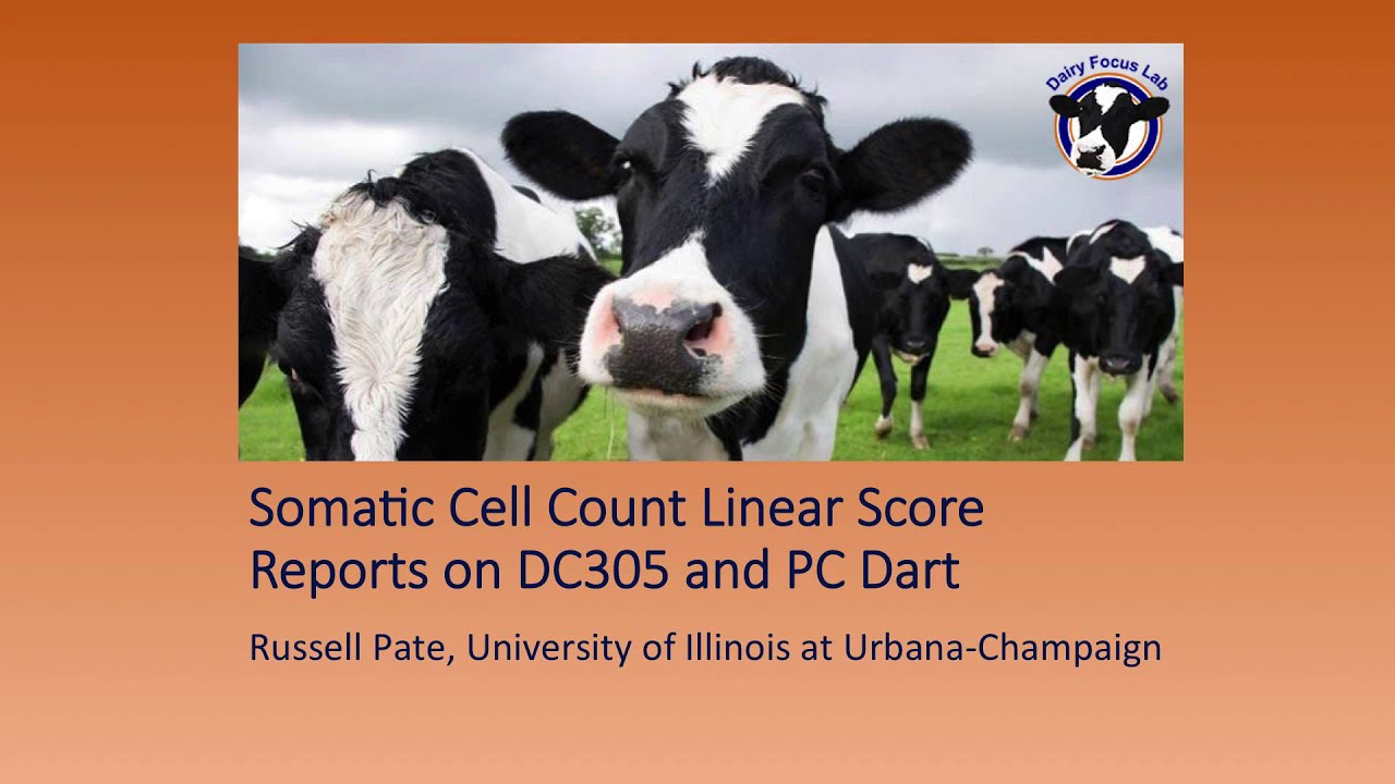 Somatic Cell Count Linear Score Reports on DC305 and PC Dart