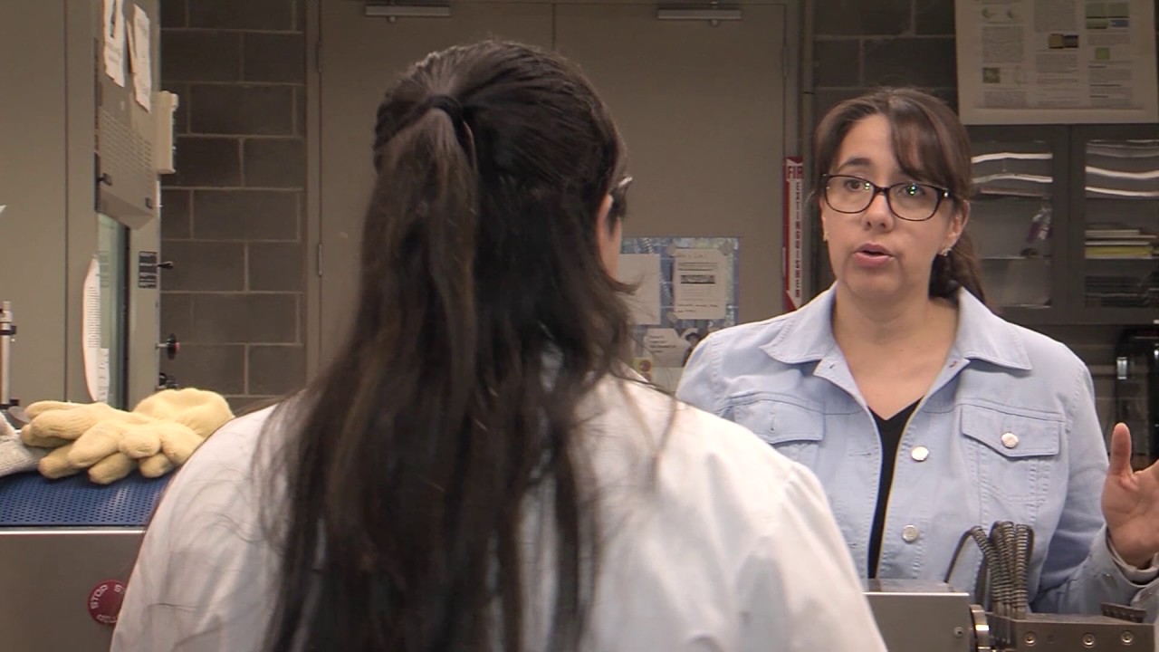 2017 Faculty Excellence Awards Karen Lozano