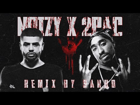 Noizy X 2Pac-Remix (remix.by sanko)