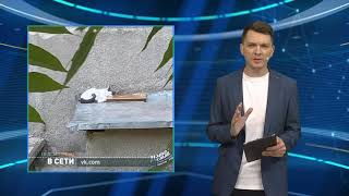 Подсмотрено в сети