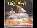 the Tomcats (Stray Cats) - Cruisin' (30 May 1980)