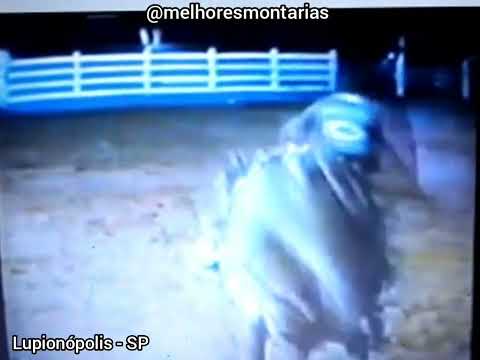 RICARDO ROSSETTO X JUPIÁ - RODEIO DE LUPIONÓPOLIS