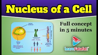 Class 9 Science Chapter 5 The Fundamental Unit of Life - Nucleus of Cell - LearnFatafat