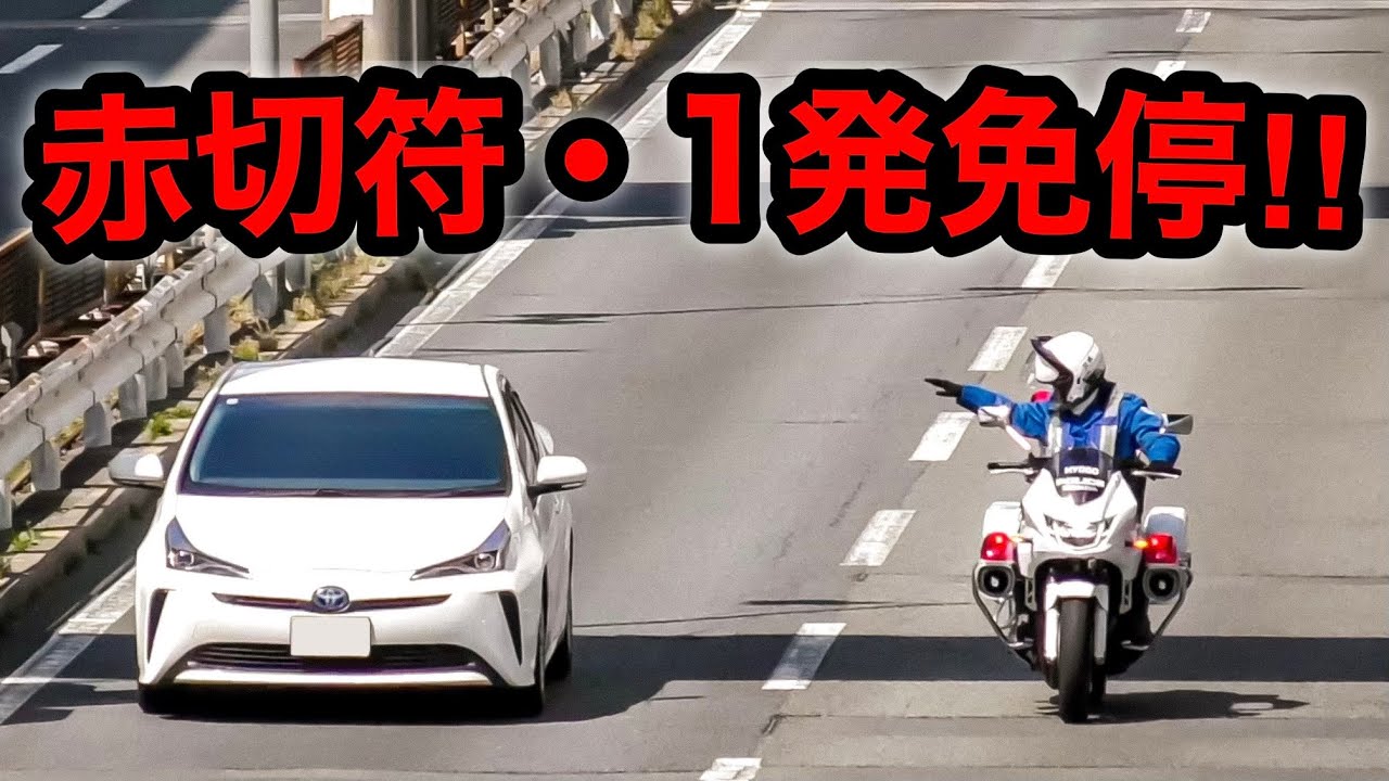 【赤切符・１発免停‼️】爆走プリウスが白バイに捕まる瞬間‼️　[サイレン 取り締まり]