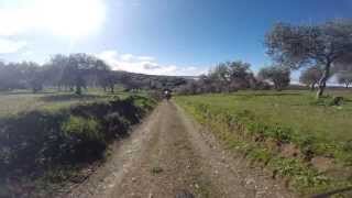 preview picture of video 'MTB hill descent  vilarinho do monte - regodeiro - belavista/sialnor btt racing team'