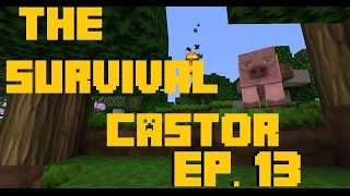 Survival Castor [Ep. 13 ] - King of the Jerks