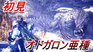 オドガロン亜種の動きが想像の二億倍【モンスターハンターワールドアイスボーン新天地で狩猟生活】