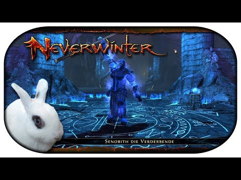 NEVERWINTER: Paladin-LP 🐇 55 - Das Kaninchen wird WAHNSINNIG