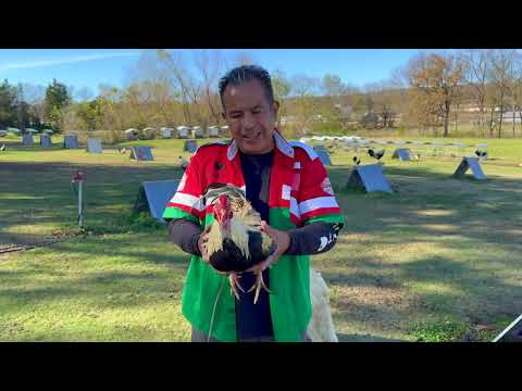 Gunner Game Farm, la granja de John Bottoms