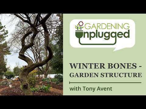 Gardening Unplugged - Winter Bones, Designing for Garden Structure with Tony Avent