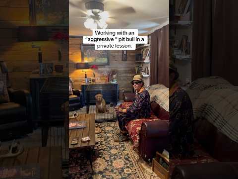 The Friendliest “Aggressive” Pitbull I Have Ever Seen.