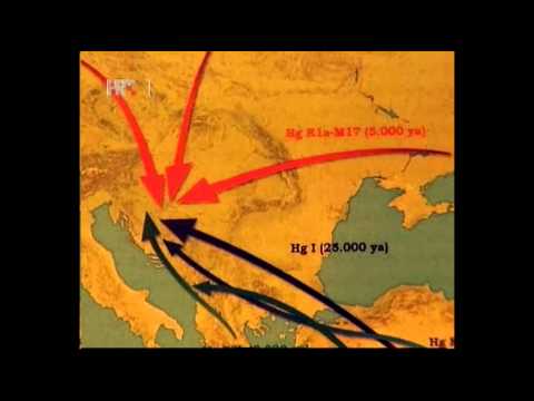 "Genetsko podrijetlo Hrvata", Prof. dr. sc. Dragan Primorac, HRT1, Znanstvene vijesti, 04.10.2011.