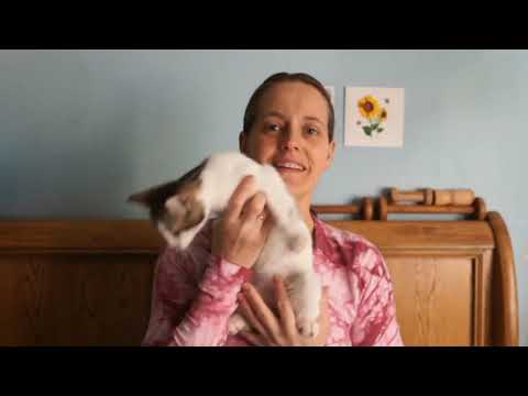 Flosstube 46 A new Long Dog!