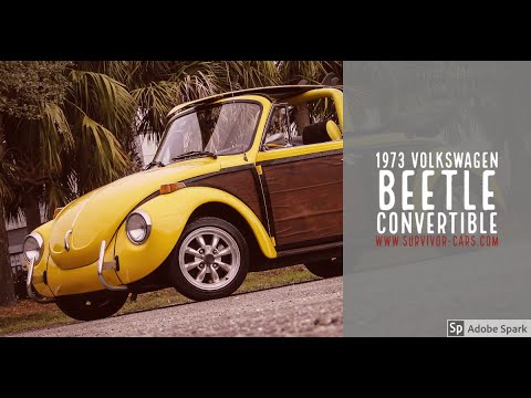1973 Volkswagen Beetle (CC-1323216) for sale in Palmetto, Florida
