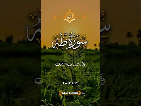 Payam E Islam ♥️#alquran #tariqjameel