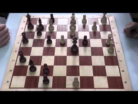 DBMM 2012 - GM Zelcic - Reichmann