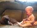 El bebe se divierte con su gato