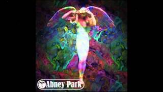 Abney Park - The Wake