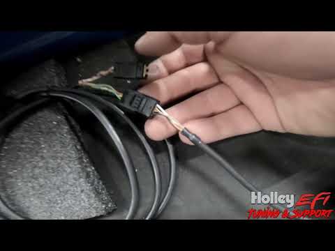 HOLLEY EFI PRO 12.3 DASH FIRMWARE UPGRADE AND LIVE VIEW ON V5