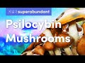 Psilocybin Mushrooms The Psychedelic Underground Community Care In Oregon Superabundant S2 E6