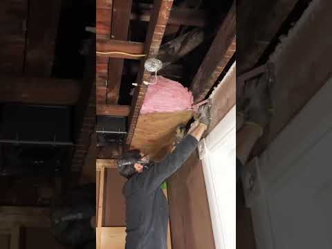 Ceiling Insulation Tips - #shorts