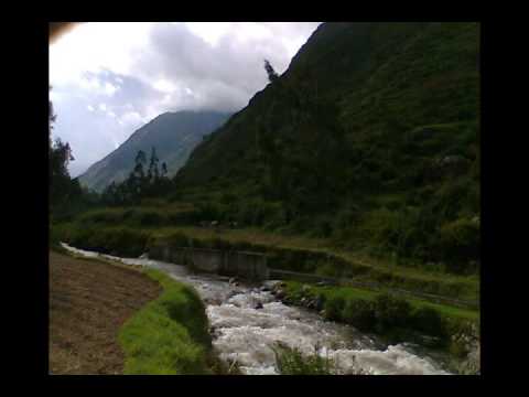 match and daddy jr ranks -inolvidable