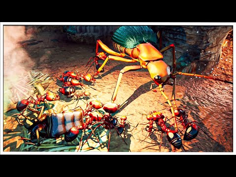 FIRE ANTS Are Here And So Are Bombardier Beetles! | Empires Of The Undergrowth