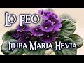 LIUBA MARIA HEVIA - Lo Feo