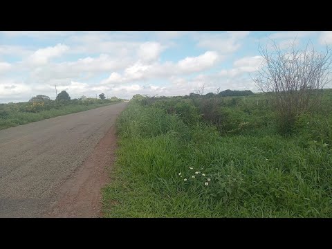 Terreno a venda em Ipubi pe 20 hectares 8 km pra cidade de Serrolândia. 