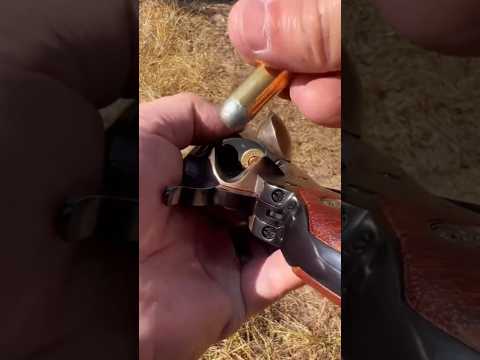 Classic Ruger Vacuero #acehgunfishing