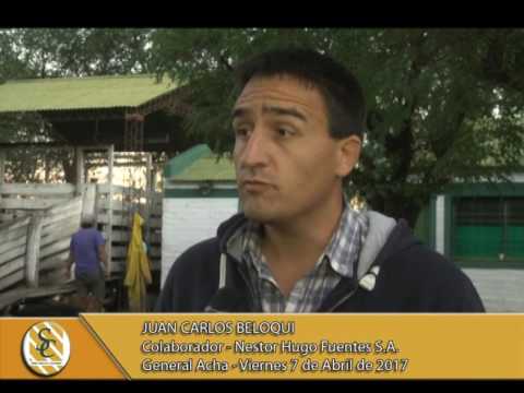 07-04-17 Nota Juan Carlos Beloqui - Nestor Hugo Fuentes S.A. - Gral Acha.